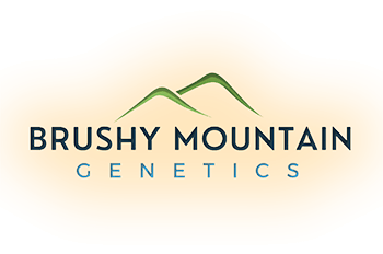 Brushy Mountain Genetics Sale logo