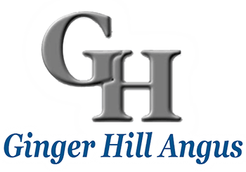 Ginger Hill Angus logo